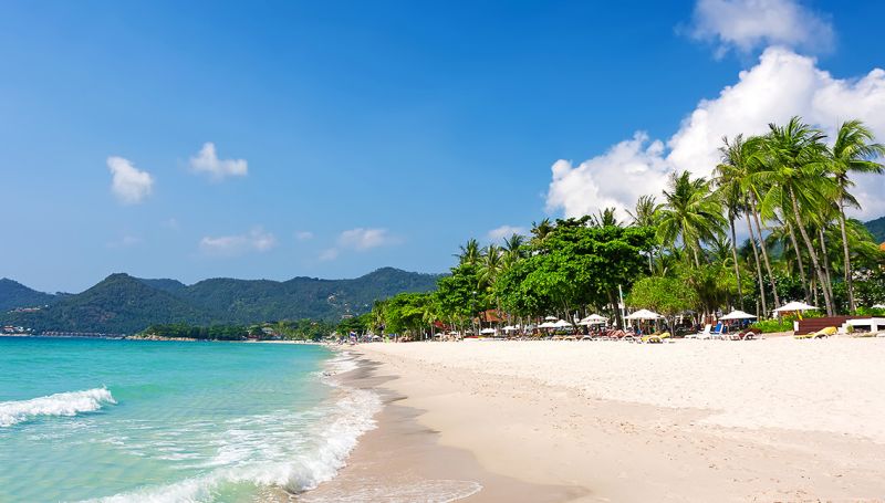 Koh Samui Free & Easy | Siam Traveller